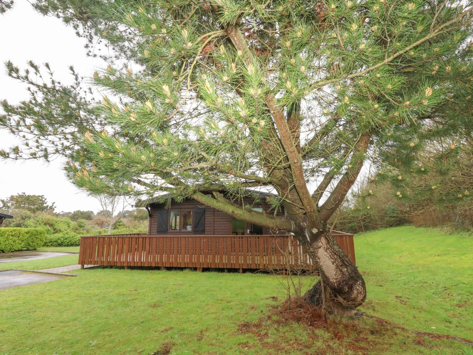 16 Amber Wood Lodge Лимингтън Екстериор снимка